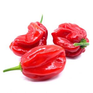 Feferóny Habanerro červené malé /VÁHA / NL - FOOD LOGISTIC