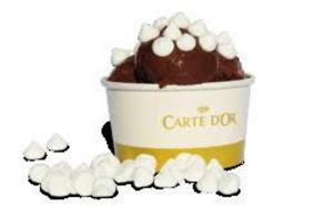 Kelímok na zmrzlinu Carte d Or 50x195ml - FOOD LOGISTIC