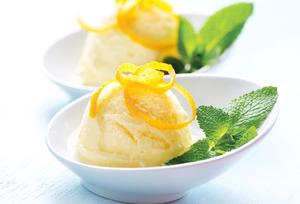 Zmrzlina Gastro Citrón 5l - Mišove maškrty FOOD LOGISTIC