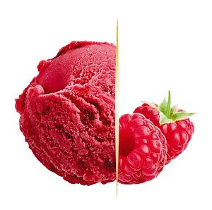 Zmrzlina Gastro Sorbet Malina 5l - FOOD LOGISTIC