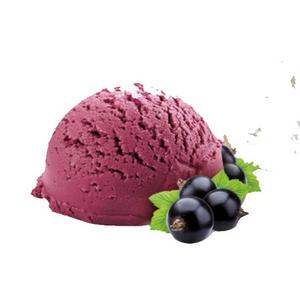 Zmrzlina Gastro Prémium Sorbet Čierna Ríbezľa 5,5l Algida - Mišove maškrty FOOD LOGISTIC