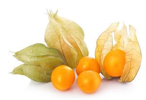Physalis 100g CO - FOOD LOGISTIC
