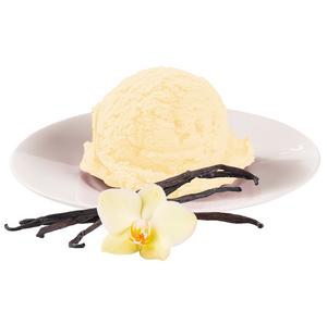 Zmrzlina Gastro Vanilka 5l - Mišove maškrty FOOD LOGISTIC