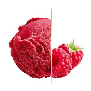 Zmrzlina Gastro Carte d´Or Sorbet Malina 2,4l Algida Vegan - FOOD LOGISTIC