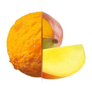 Zmrzlina Gastro Carte d´Or Sorbet Mango 5,5l Algida - FOOD LOGISTIC