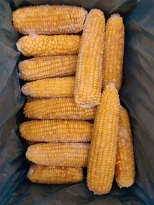 Kukurica klasy 2,5kg Frigoexim - vokádo polené 1kg ARDO