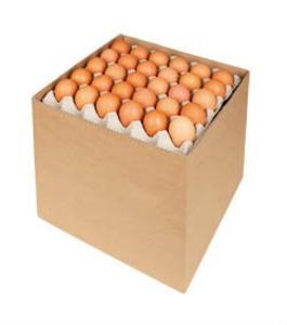 Vajcia balené 180ks biele L - FOOD LOGISTIC