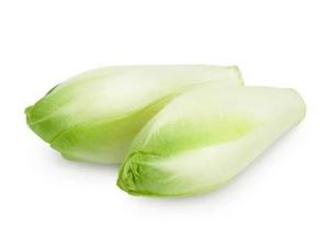 Čakanka biela 500g NL - FOOD LOGISTIC