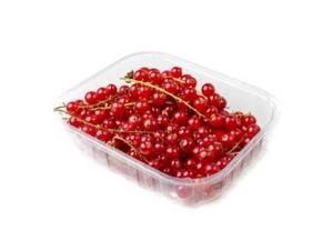 Červené ríbezle 125g NL - FOOD LOGISTIC