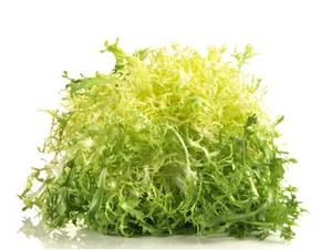Šalát frisée DE - FOOD LOGISTIC